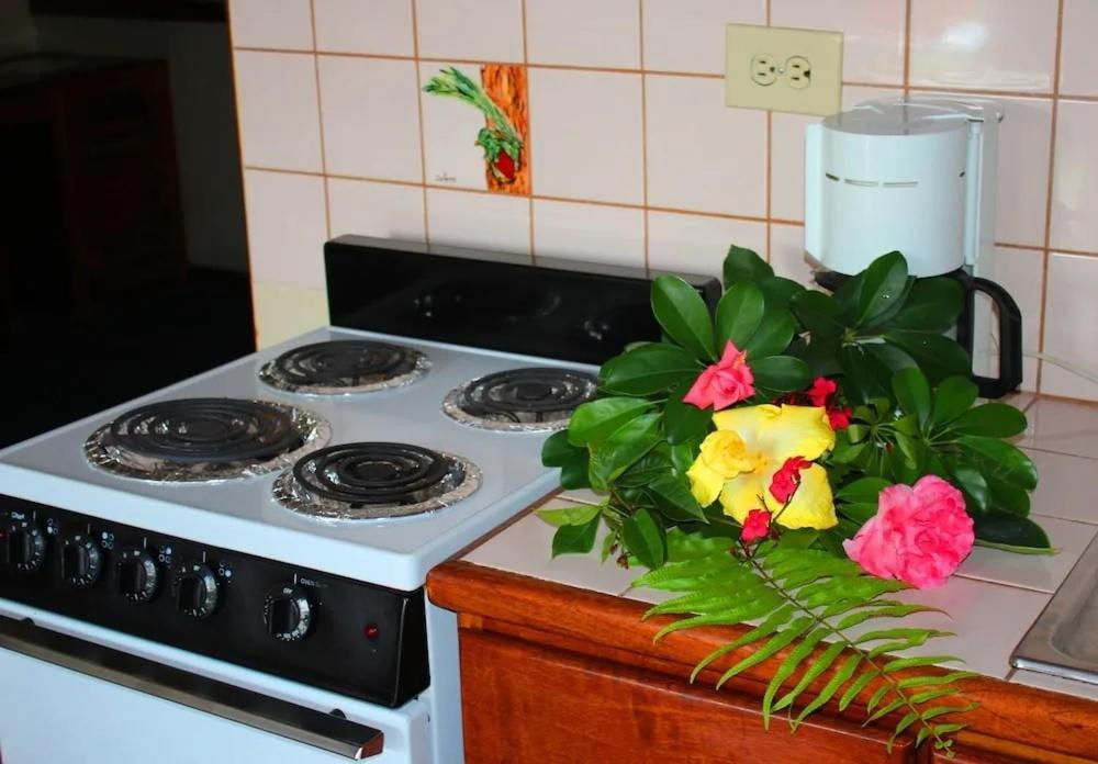 Hotel Ecological Inn Сан-Хосе Екстер'єр фото