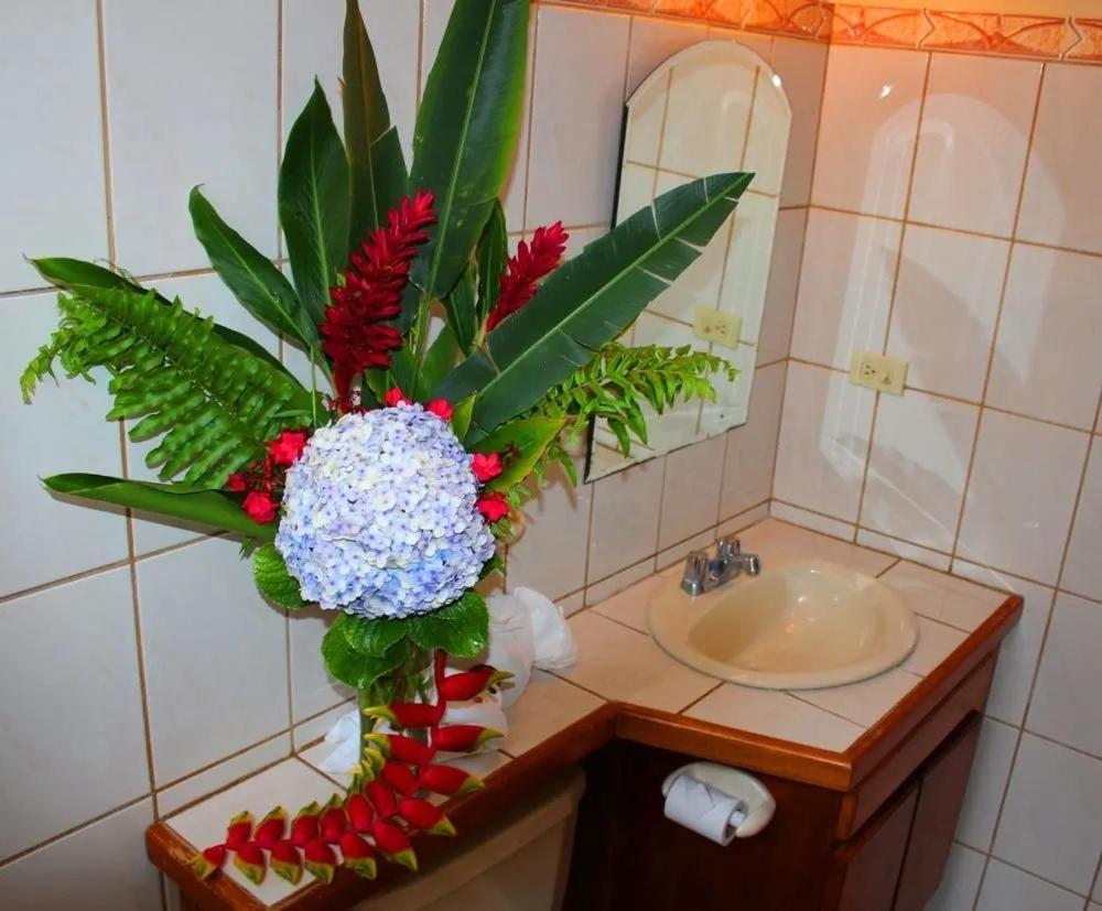 Hotel Ecological Inn Сан-Хосе Екстер'єр фото